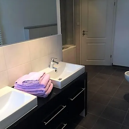 Hotel Boardinghouse Swb Im Hirschen Schramberg